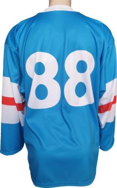111 dres hokej CZECH LEGIONAR white