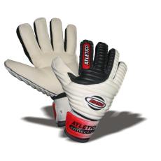 010 Goalkeeper  gloves PROTECTOR