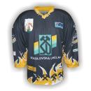 013 HC Sokolov