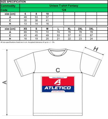 004 T-shirt ICON HOCKEY CZECH 04